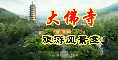 男女日逼网站免费视频中国浙江-新昌大佛寺旅游风景区